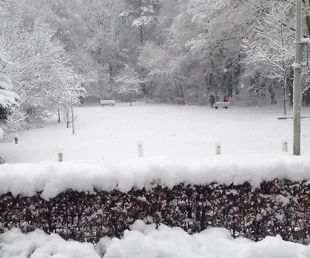 호텔 놀 인 엇보스 와게닌겐