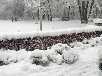 מלון Nol In 't Bosch וחנינגן