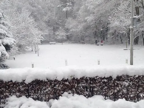 מלון Nol In 't Bosch וחנינגן